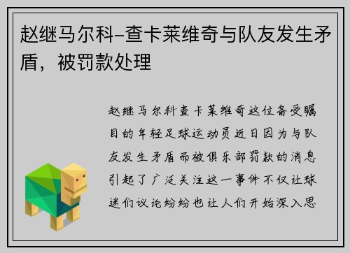 赵继马尔科-查卡莱维奇与队友发生矛盾，被罚款处理