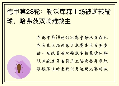 德甲第28轮：勒沃库森主场被逆转输球，哈弗茨双响难救主