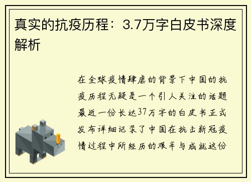 真实的抗疫历程：3.7万字白皮书深度解析